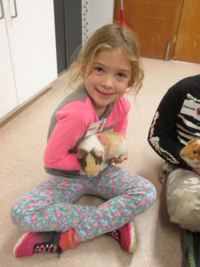 community visits