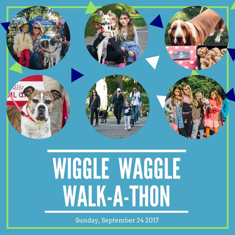 wiggle waggle walkathon