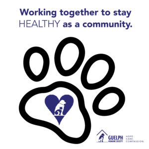 How we continue to serve our community through COVID-19 background