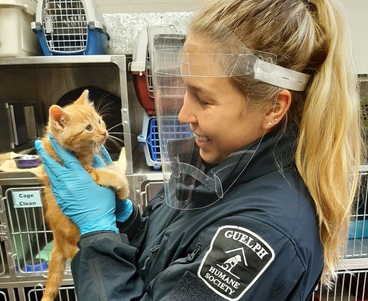 animal-control-laws-banner