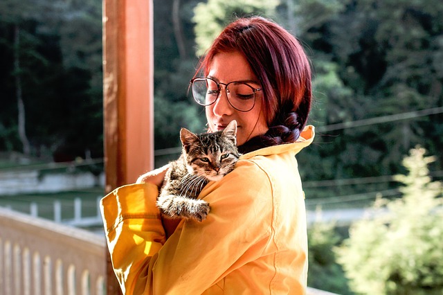 Pets in Transition background