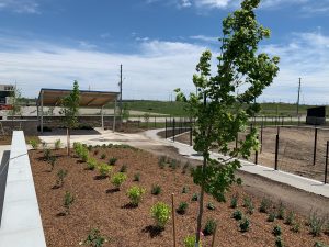 About Our Green Commitment  background