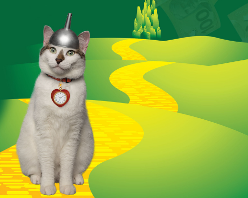 50/50 Lottery background