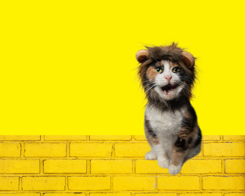 entertainment-banner