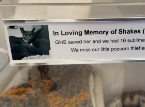 Testimonials From Kennel Adopters background