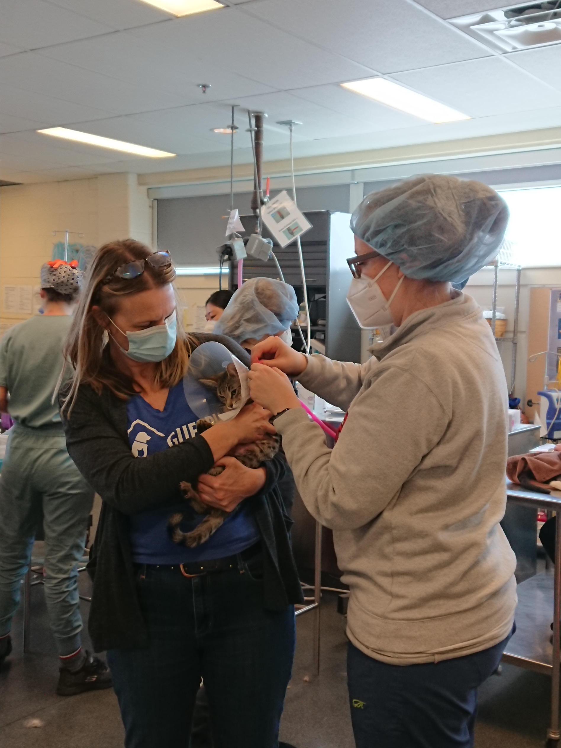 spay-neuter-program-new-banner