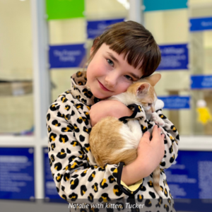 Little girl, Natalie, cuddles orange and white kitten, Tucker.