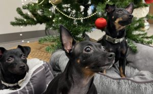 Mia, Mavis and Mick
