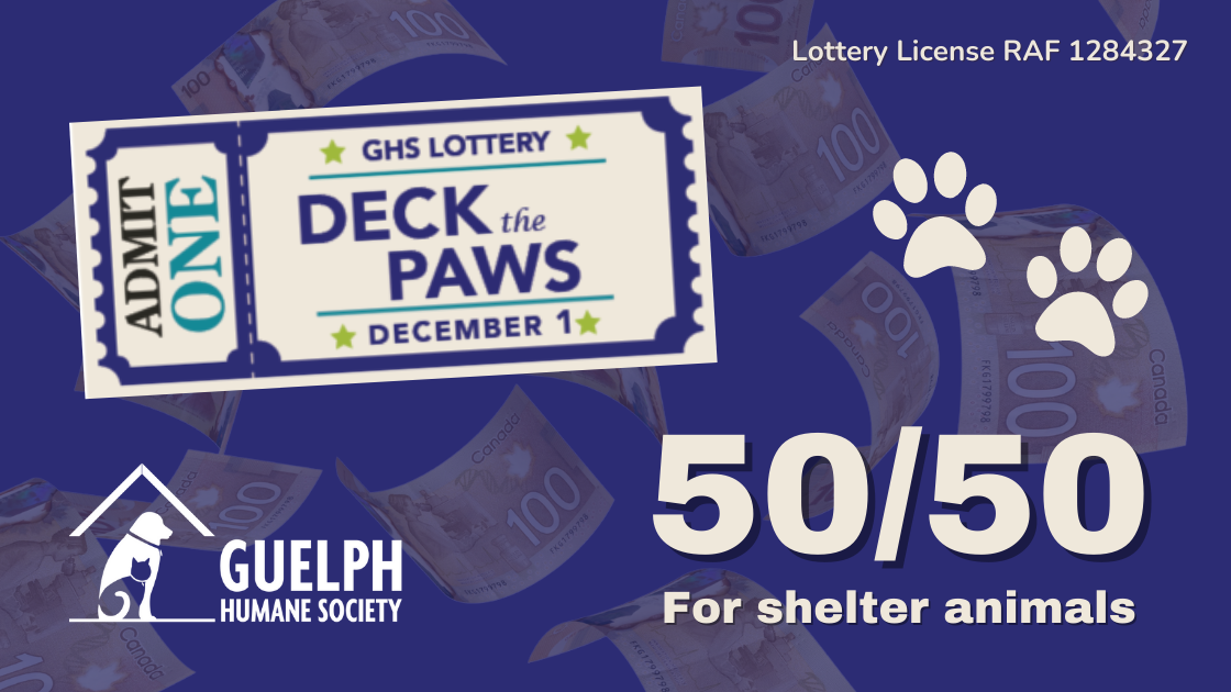banner for lottery