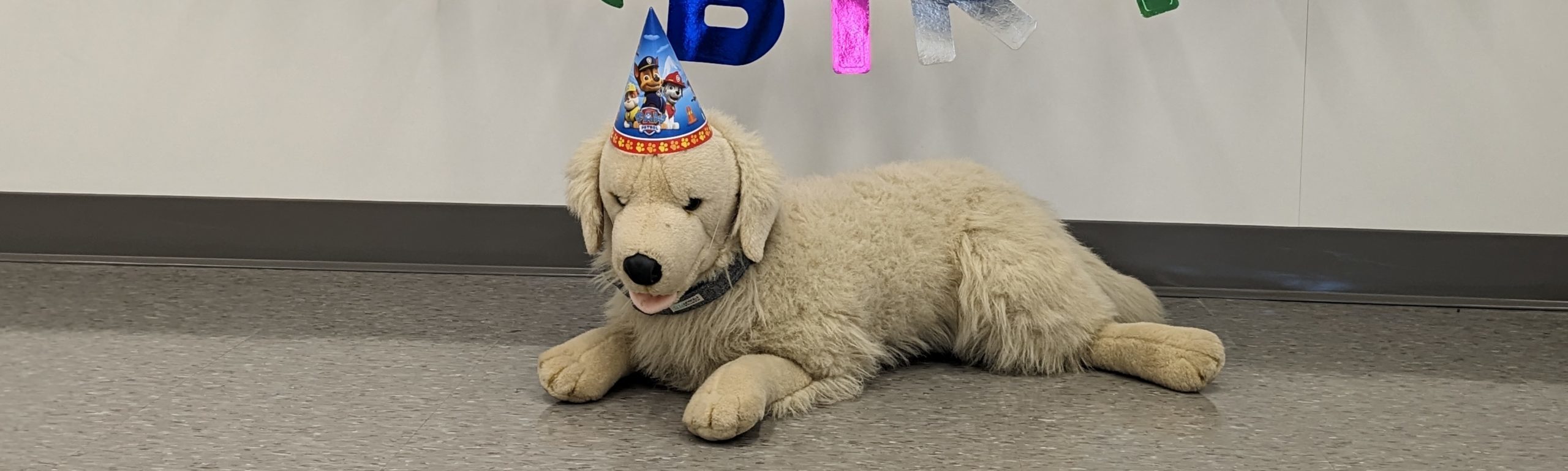 birthday-parties-banner