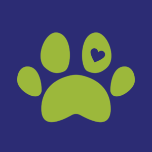 Book a spot for PA Day Critter Camp Today! background