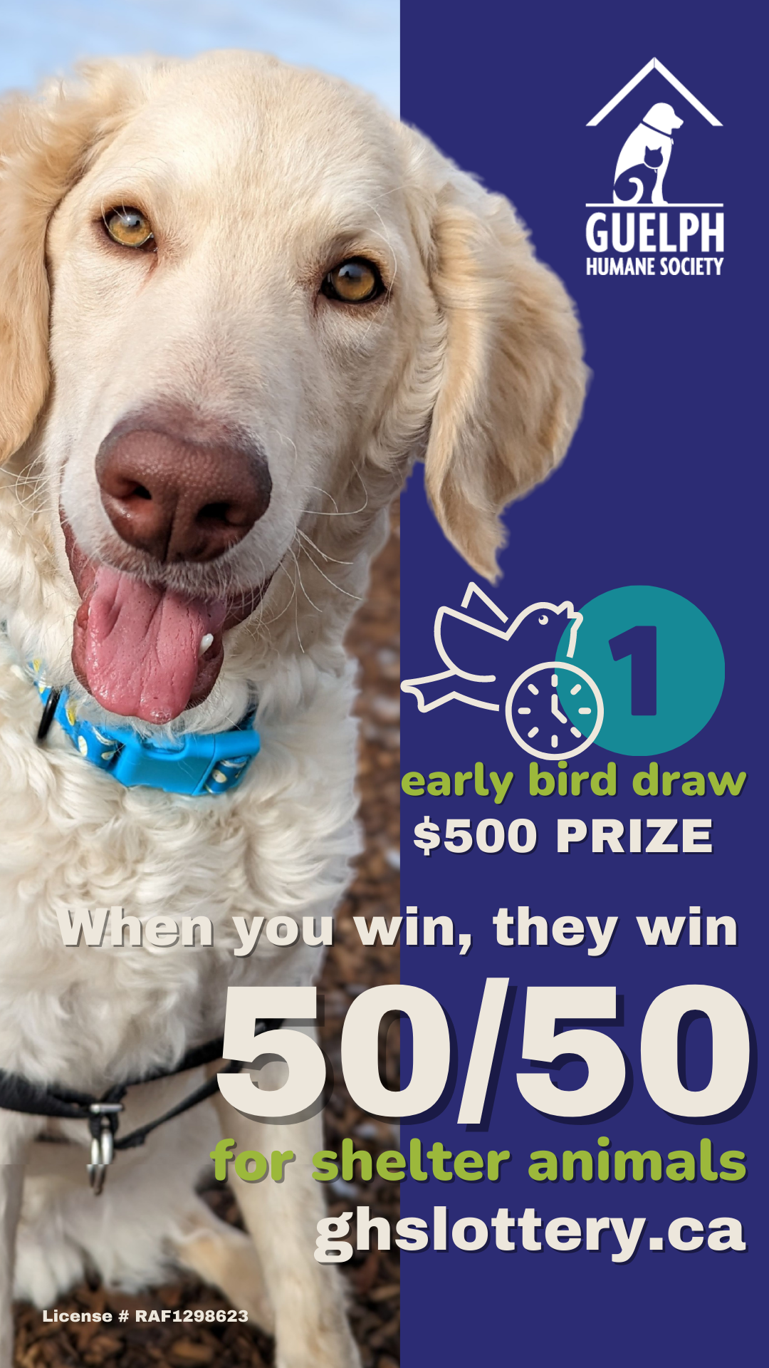 50/50 lottery